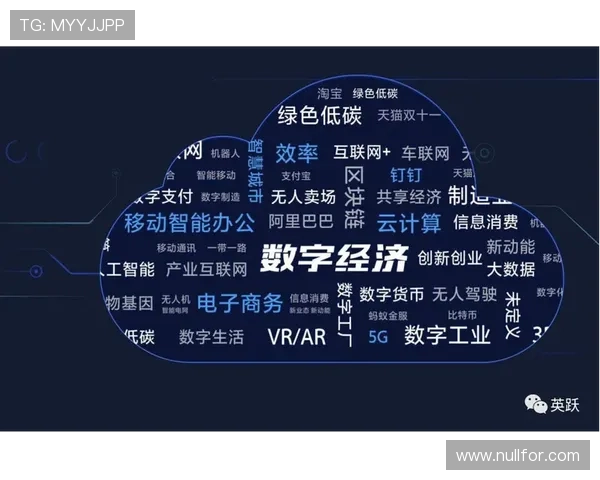 企业家领袖如何在数字时代引领创新与变革推动企业持续增长