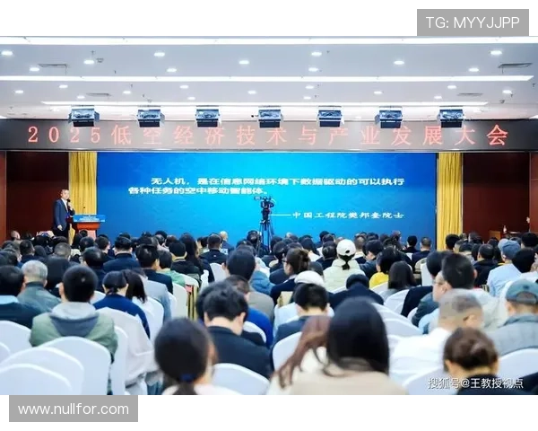 企业家创新实践推动区域经济高质量发展动力机制与战略路径研究探 企业家创新实践推动区域经济高质量发展动力机制与战略路径研究探